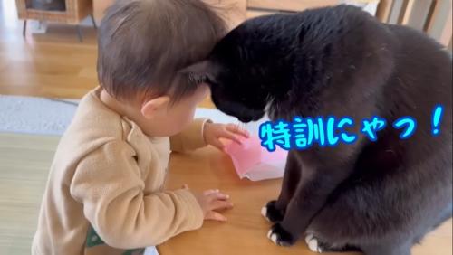 特訓にゃっ！