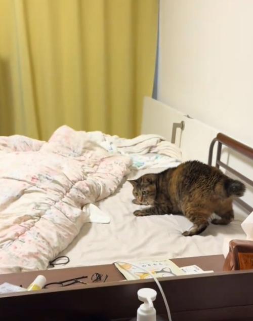 臨戦態勢のあめちゃん