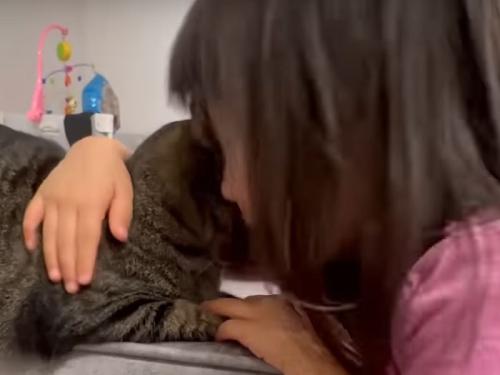 人間と猫
