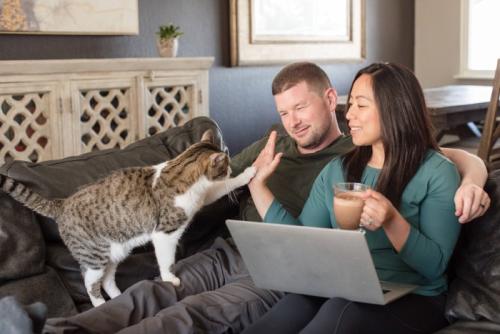 カップルに甘える猫