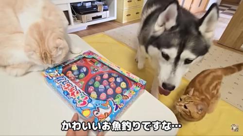 魚釣りのおもちゃ