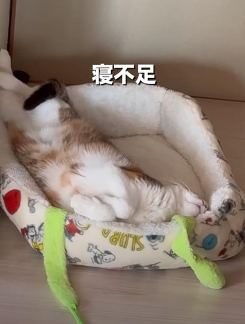 寝不足気味