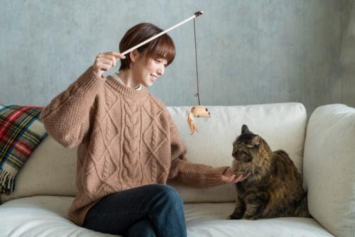 遊ぶ猫