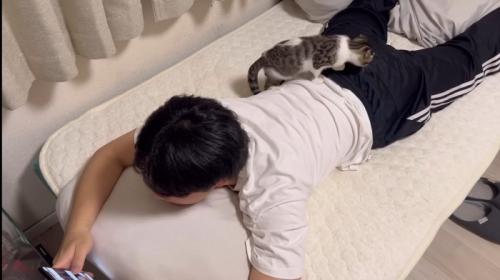 背中に登って