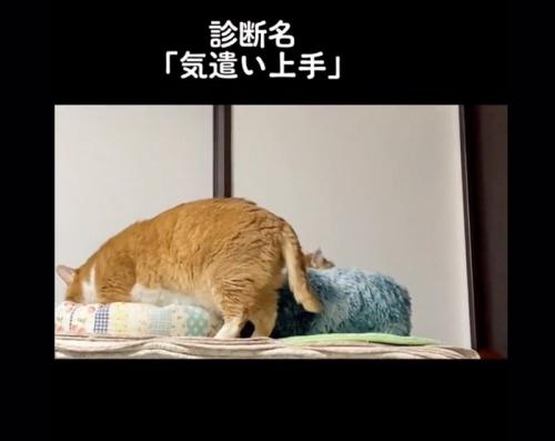 気遣い上手