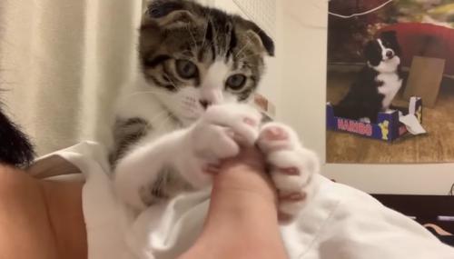 指をキャッチ