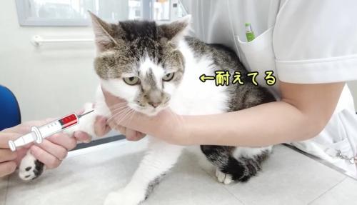 耐えてる
