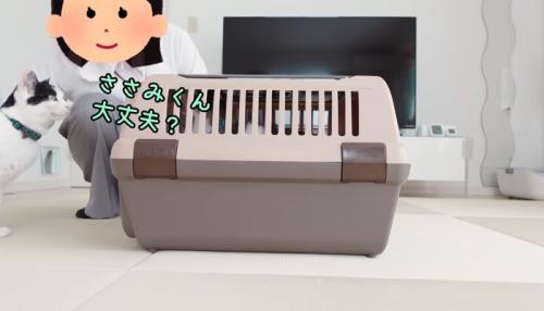ささみくん大丈夫？
