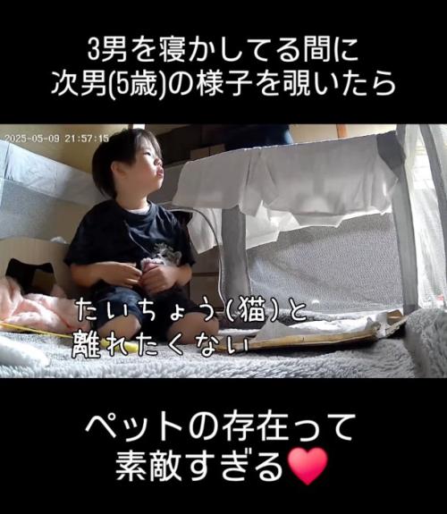 子猫を抱っこする男の子