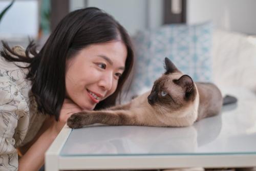 猫と会話する女性