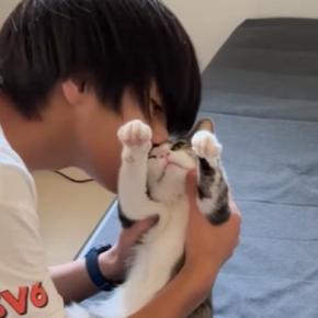 横になってくつろいでいた猫のもとに息子が近づいていくと…『されるがままな光景』が可愛すぎると104万再生「愛されてる」「癒された」
