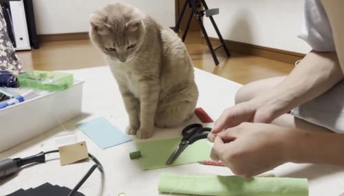 手元を凝視