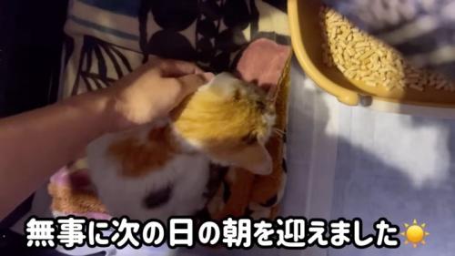 テロップ「無事に次の日の～」