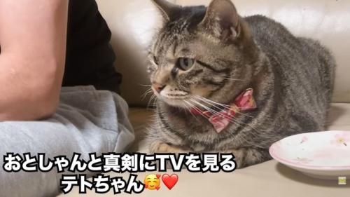 テロップ「おとしゃんと～」