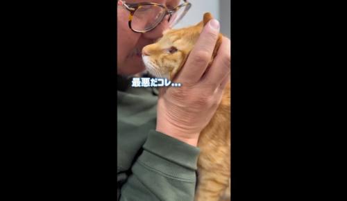 最悪だコレ…