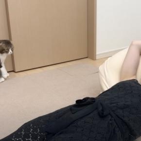 爆睡中のママ→何をしても起きなくて……キレたパパ猫がとった『まさかの行動』が65万再生「おっさん嬉しそうｗ」「随分な荒技で爆笑した」