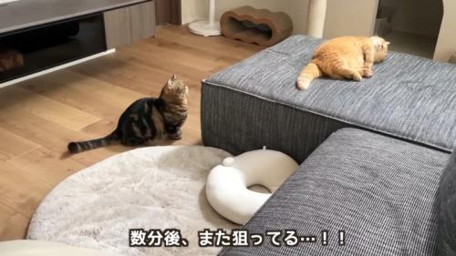 「数分後、また狙ってる…！！」