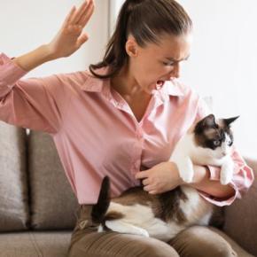 猫に対して絶対にNGな『飼い主の態度・暴言』3選　起こり得る最悪の結末も解説