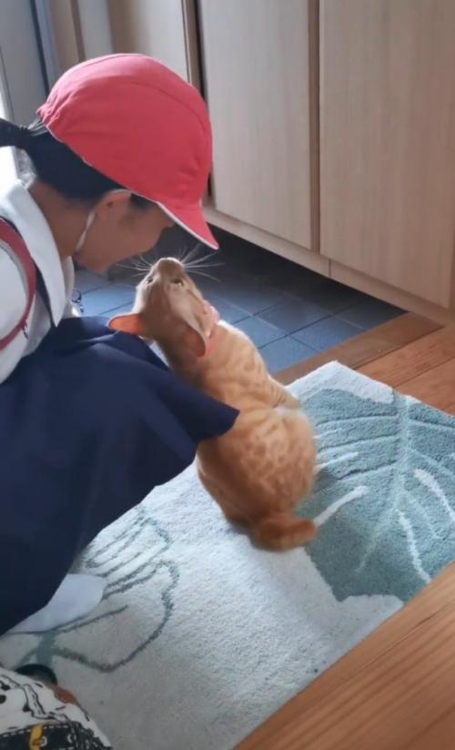 女の子と猫