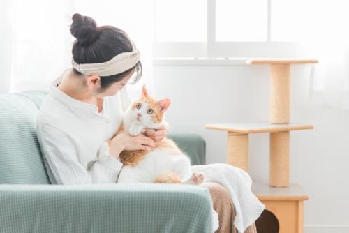 猫を膝に乗せて話しかける女性