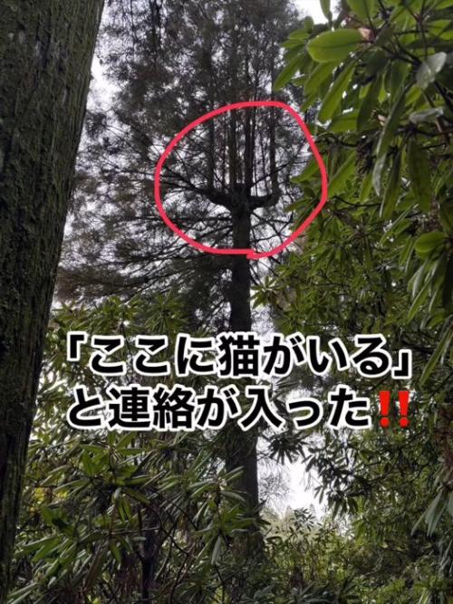 森の中