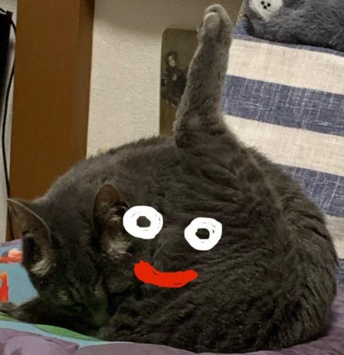 猫にスライムの落書きがしてある写真（アップ）