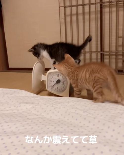 はかりが揺れる