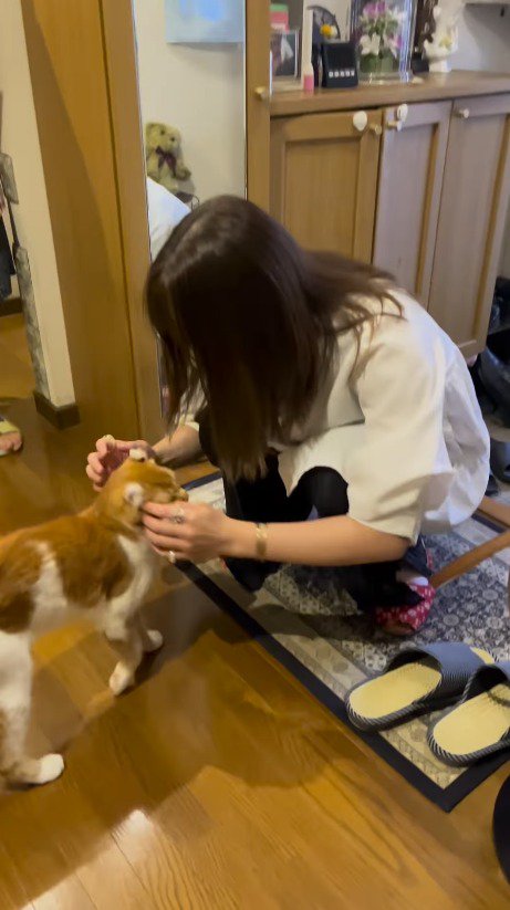 女性に近づく猫