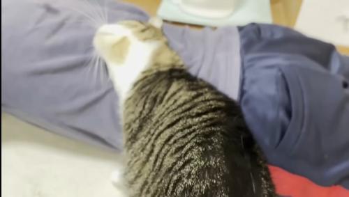 背中にスリスリ