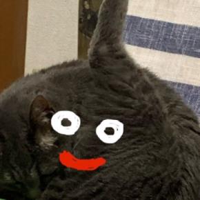 おしりを毛づくろいしていただけなのに→奇跡の擬態が生まれて…3万いいね突破の『猫の姿』に「めっちゃ探しちゃったｗ」「上手く化けてて草」