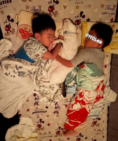 男の子2人と猫