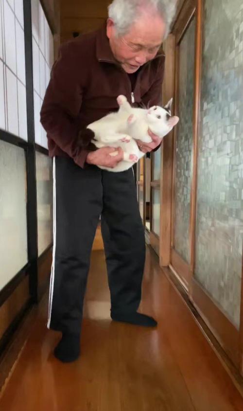 猫を抱き上げるおじいちゃん