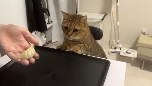 手をかけて