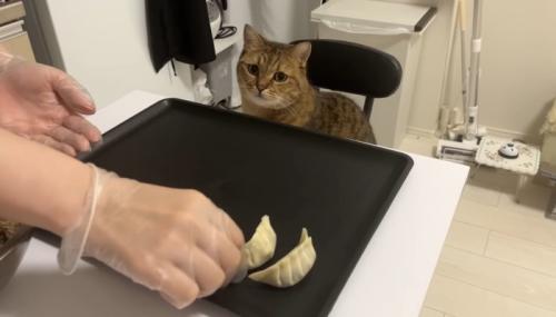 餃子2つ目