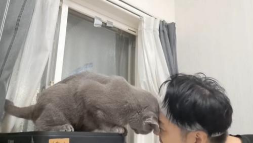 低い位置で