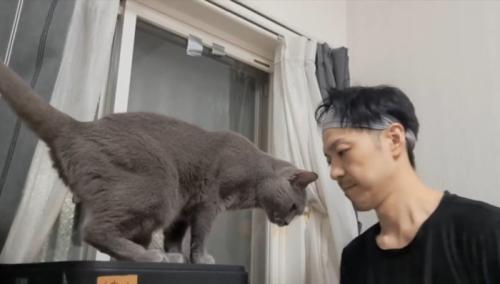 構えるふたり