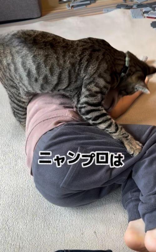 ニャンプロをする男の子と猫