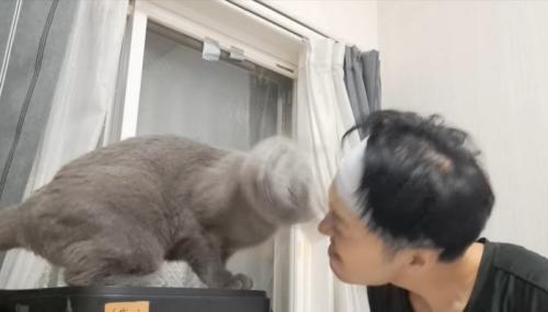 残像