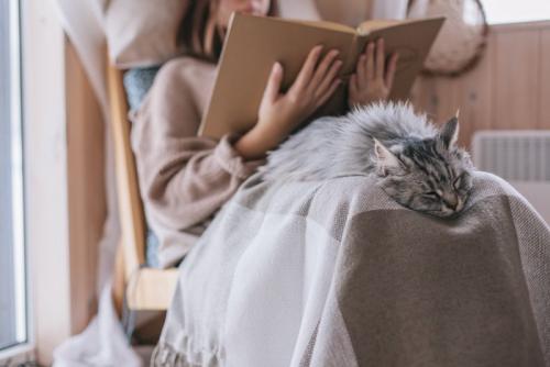 飼い主の膝の上で眠る猫