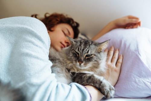 飼い主のそばで眠る猫