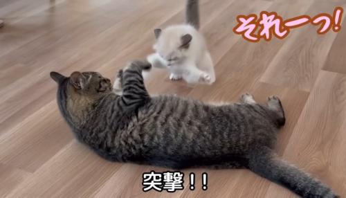 突撃!!