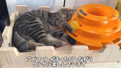 テロップ「アズマくんがまったりしながら~」