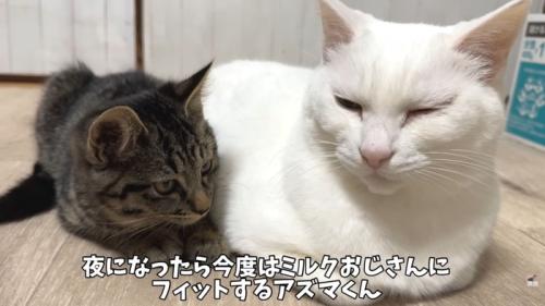 テロップ「夜になったら~」