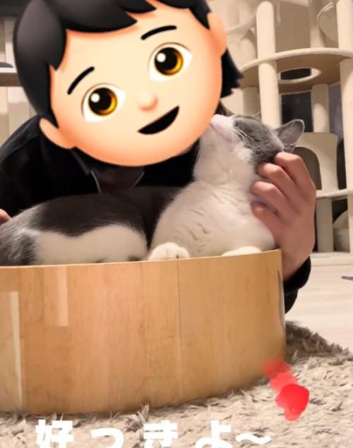 甘える猫