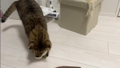 覆い被さって