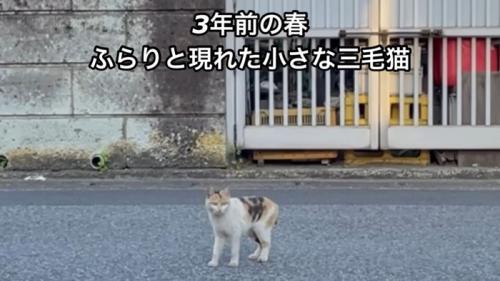 テロップ「3年前の春~」