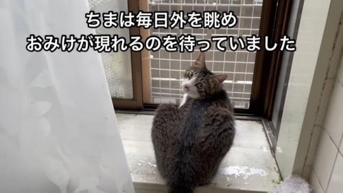 テロップ「ちまは毎日~」