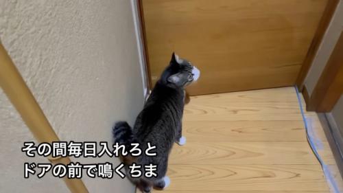 テロップ「その間毎日~」