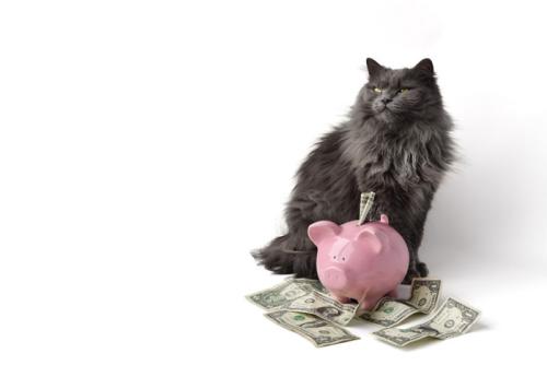 猫とブタの貯金箱