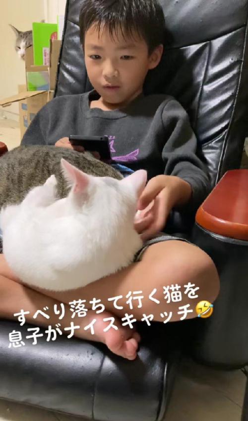 膝の上に猫をのせている男の子